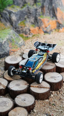 Carro RC WLtoys 244016 RWD 25 km/h Carro RC WLtoys 244016